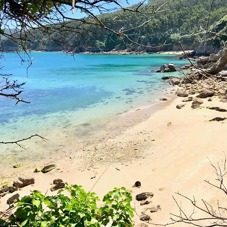 The Cliffs - The Look Seiramar Viveiro